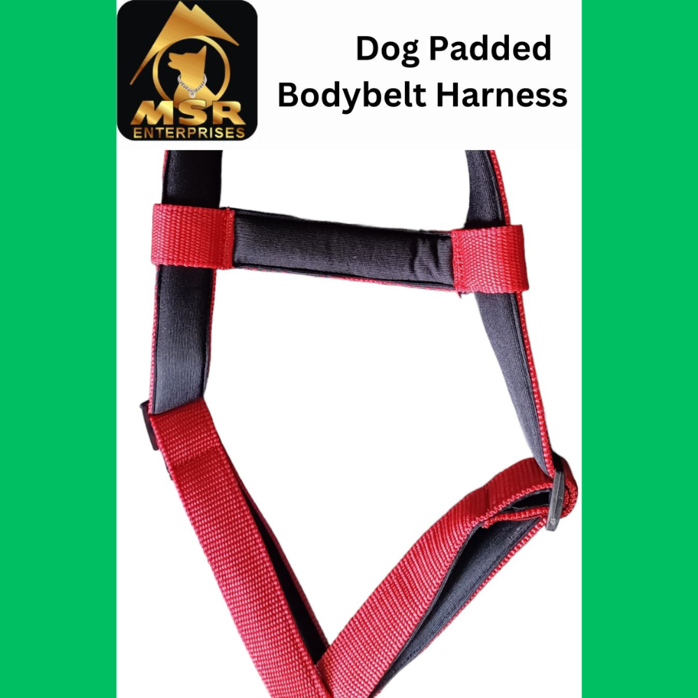 Dog Padded Body Belt Harness (PP / NYLON)