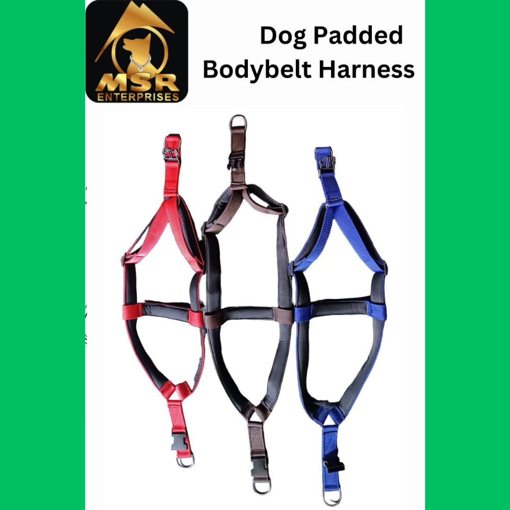 Dog Padded Body Belt Harness (PP / NYLON)