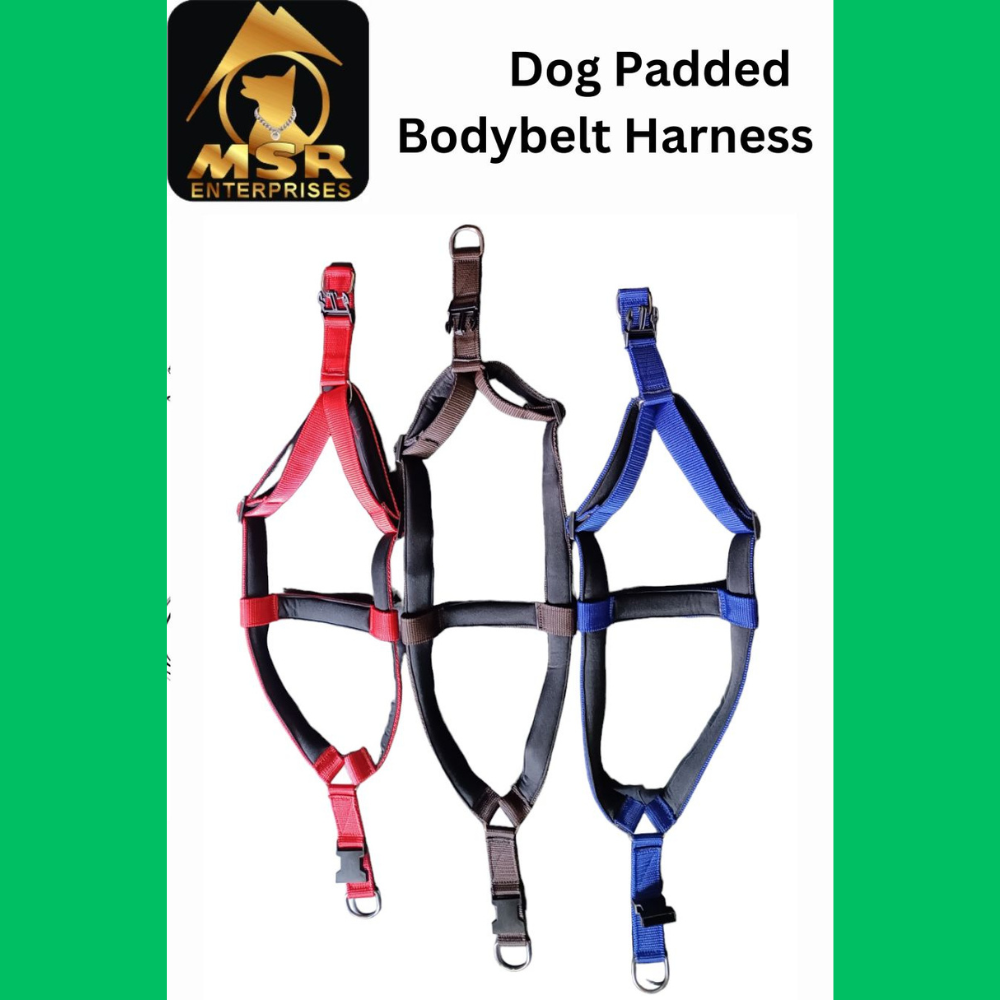 Dog Harness Padded Body Belt