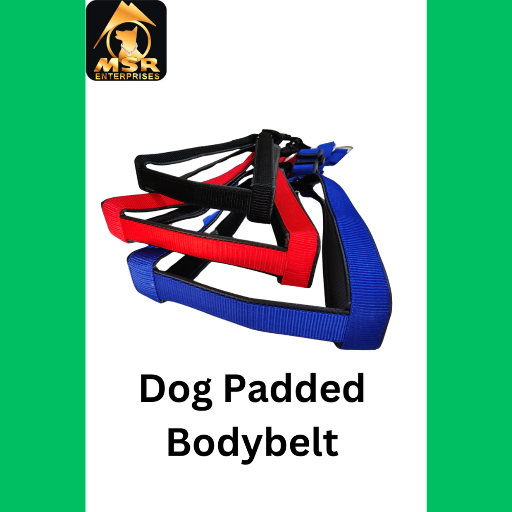 Dog Harness Padded Body Belt