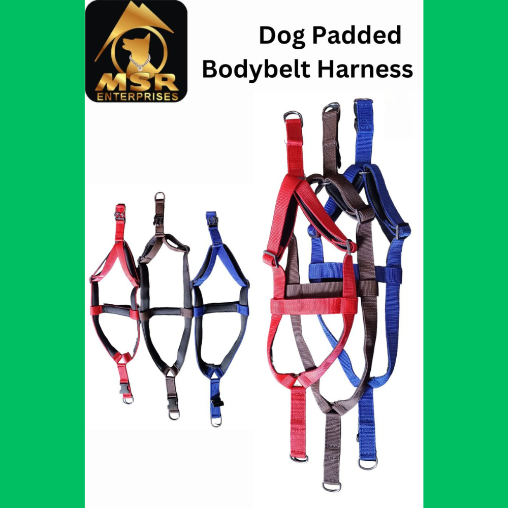 Dog Padded Body Belt Harness (PP / NYLON)