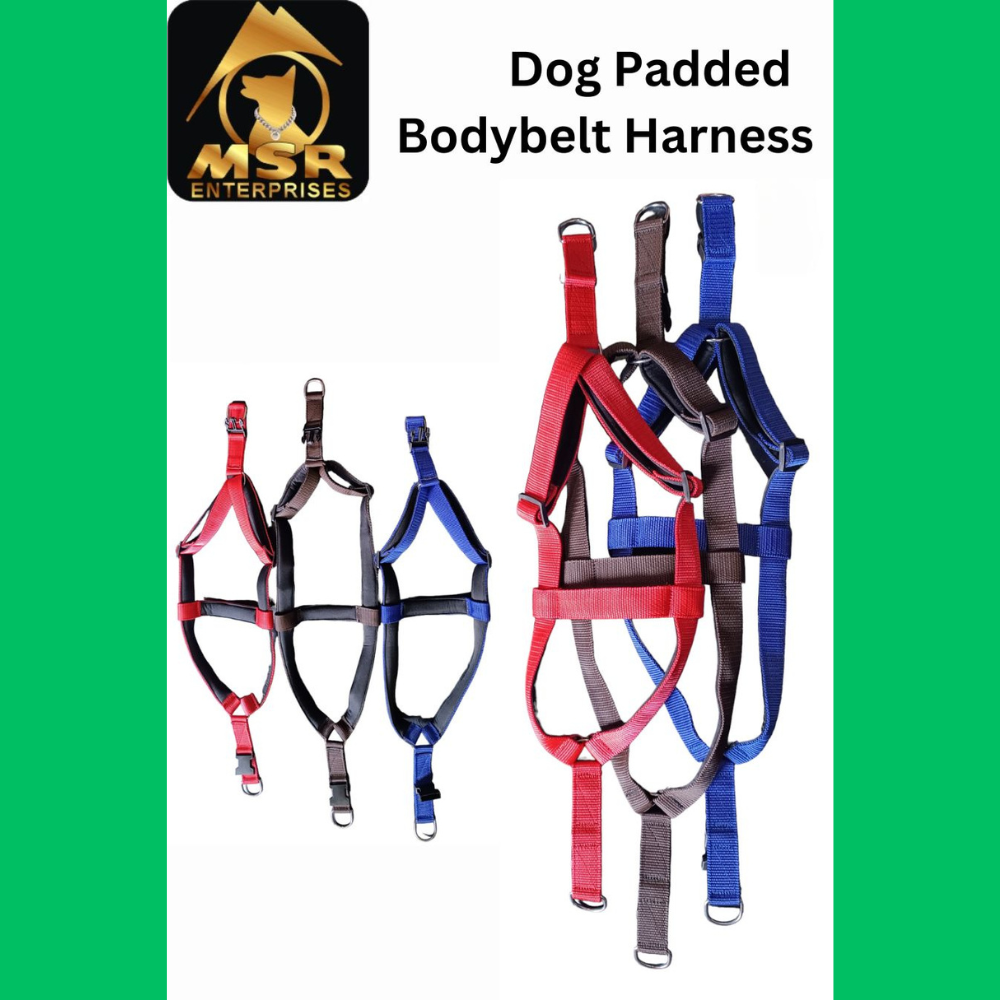 Dog Harness Padded Body Belt