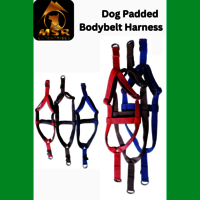 Dog Padded Body Belt Harness (PP / NYLON)