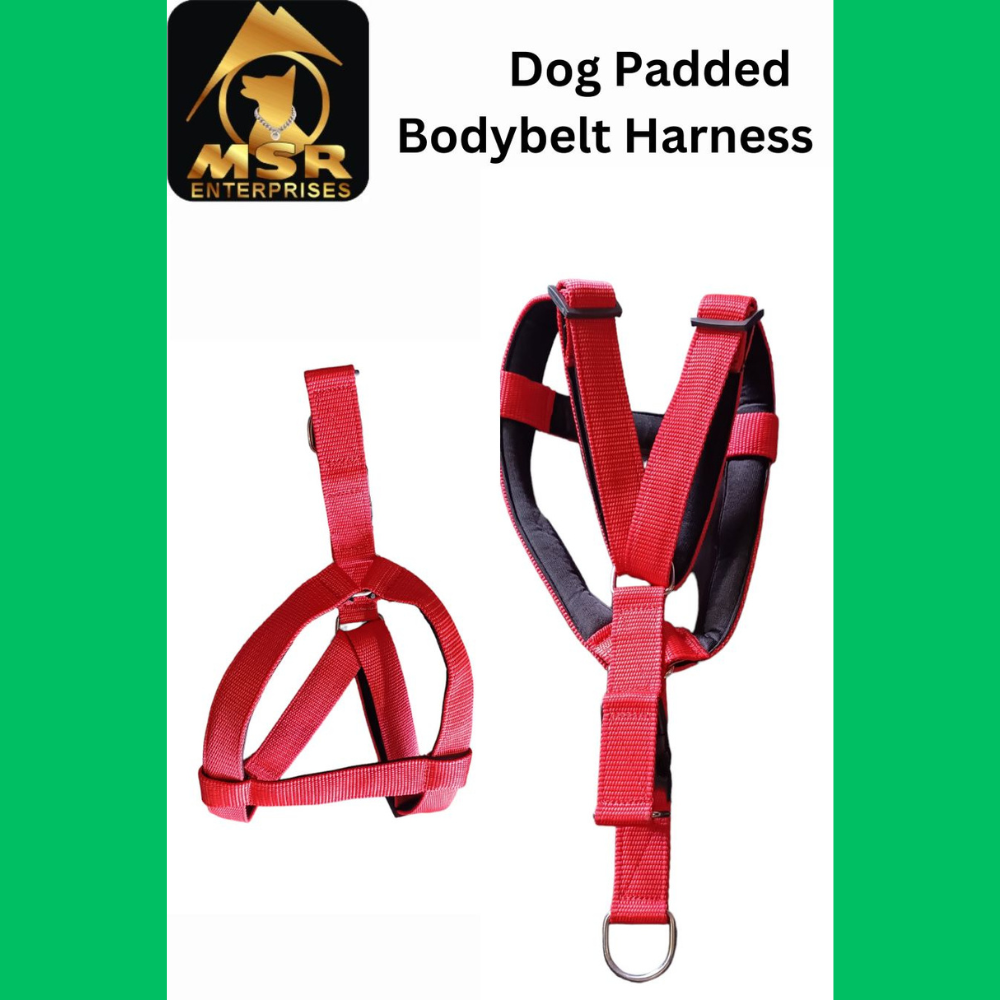 Dog Padded Body Belt Harness (PP / NYLON)