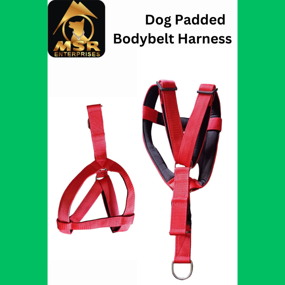 Dog Harness Padded Body Belt