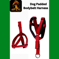 Dog Padded Body Belt Harness (PP / NYLON)