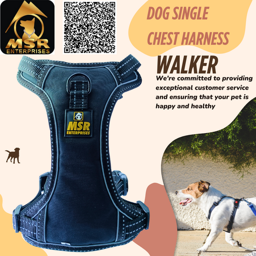 Single Layer Dog Chest Harness