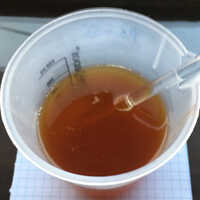 Yellow Pop Synth (1194)