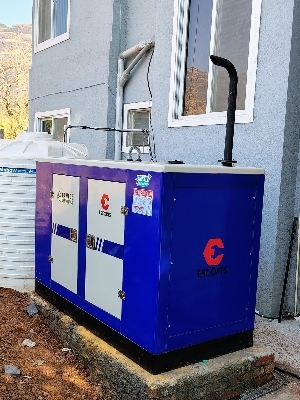 Any Color Silent Diesel Generator