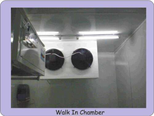 Walk In Chamber / Walk-in Stability chamber