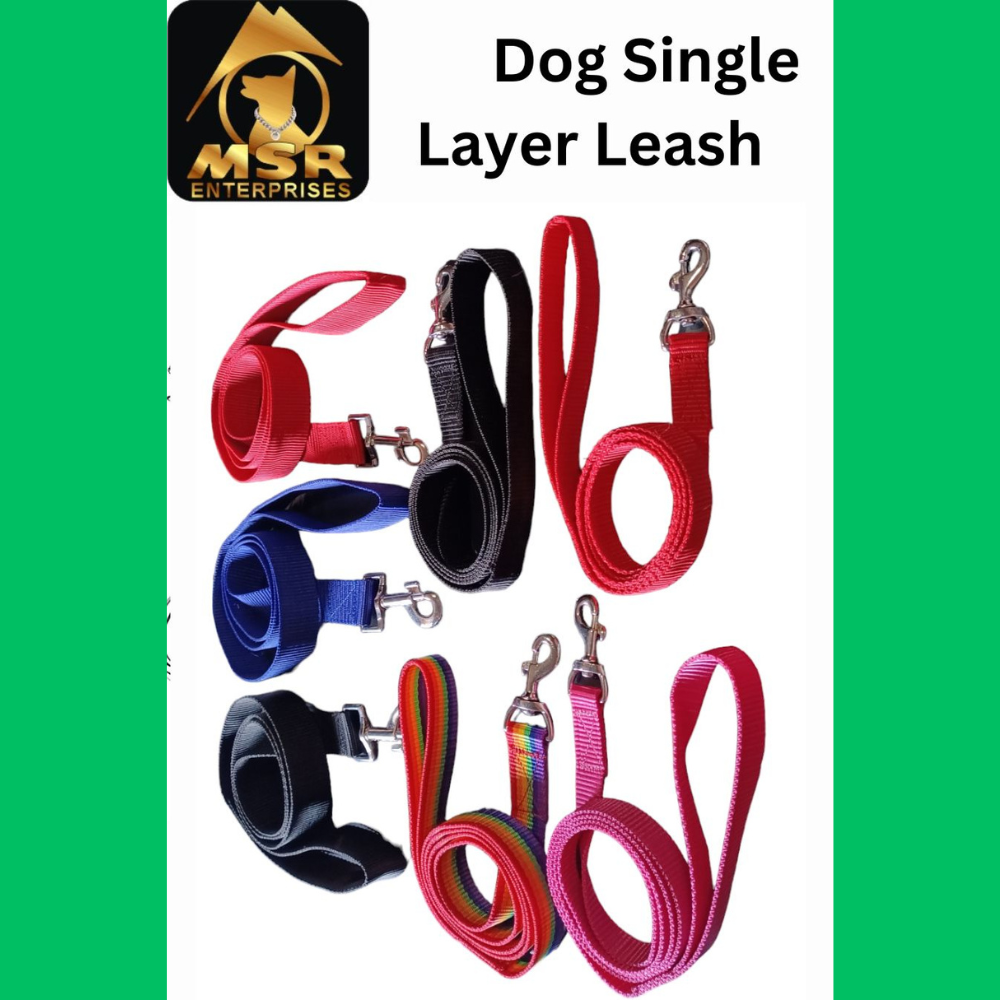 PP / Nylon Single Layer Dog Leash