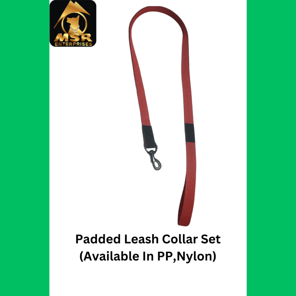 PP / Nylon Single Layer Dog Leash