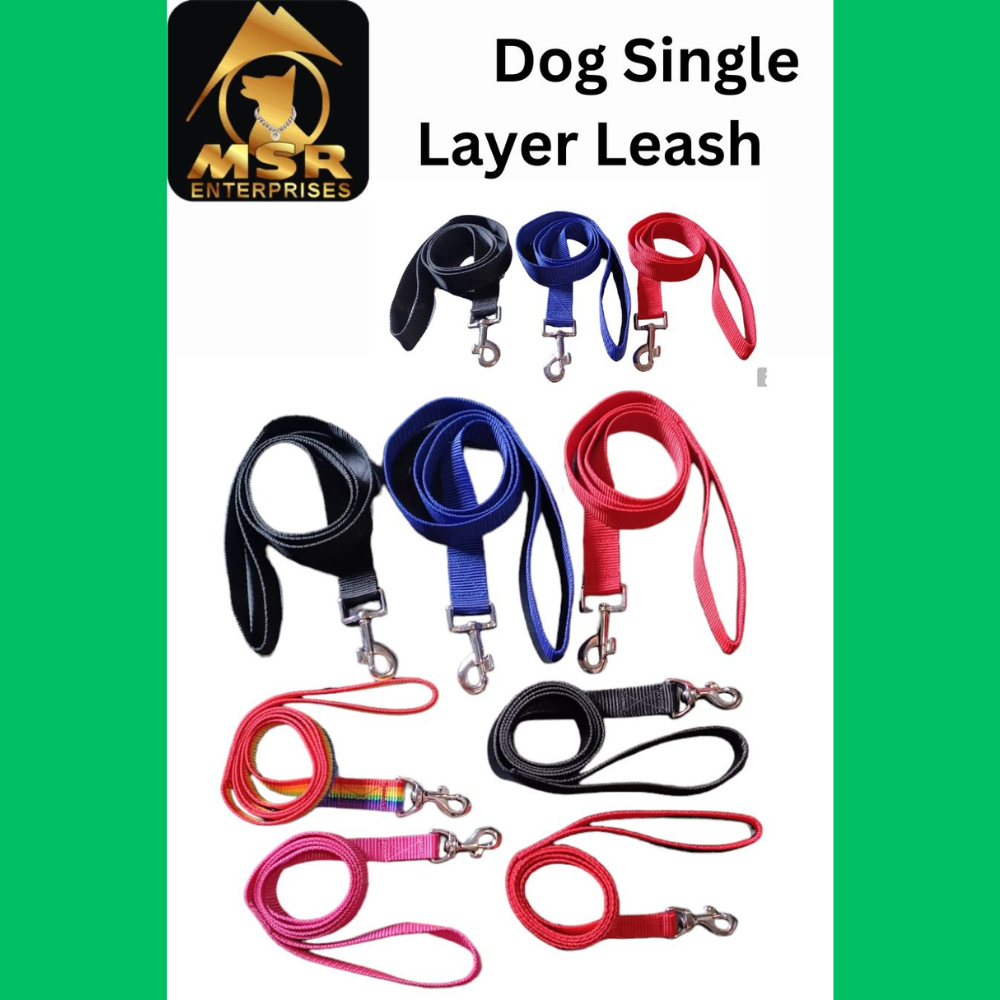 PP / Nylon Single Layer Dog Leash