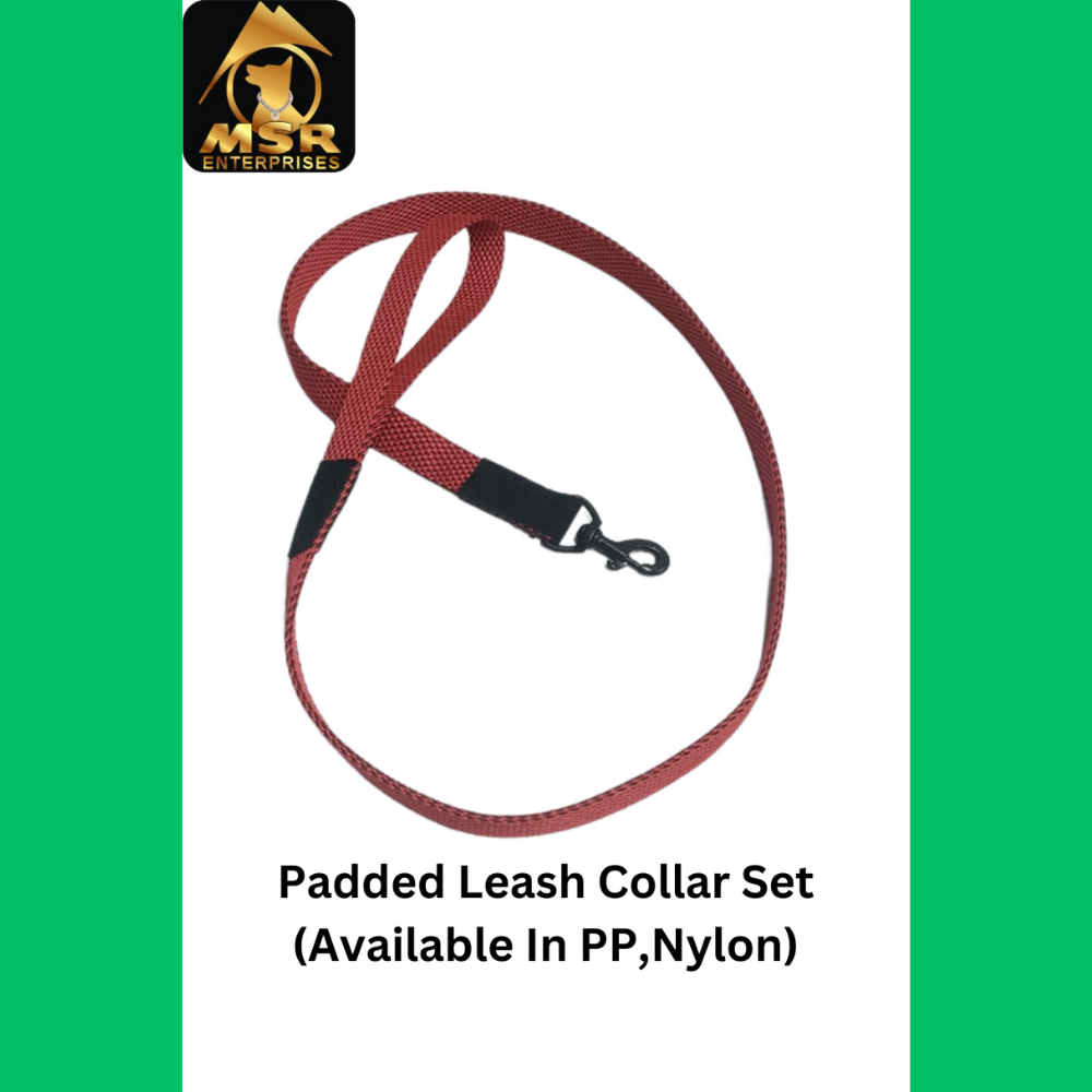 PP / Nylon Single Layer Dog Leash