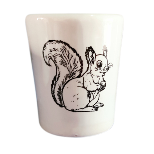 Squirrel Printed Ceramic Planter