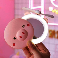 Mini mirror led light with fan