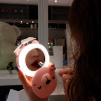Mini mirror led light with fan