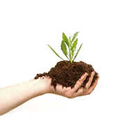 Organic Brown Fertilizers Granular