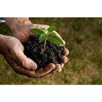 Organic Soil Conditioner Application: Agriculture