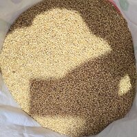 Indian Jowar Millet - Admixture (%): N/a
