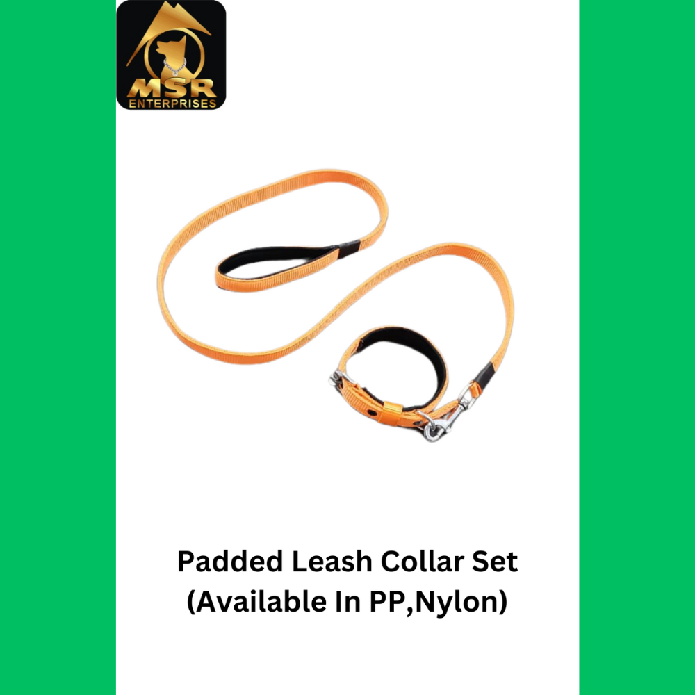Dog Collar & Leash