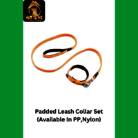 Dog Leash + Collar Padded Set