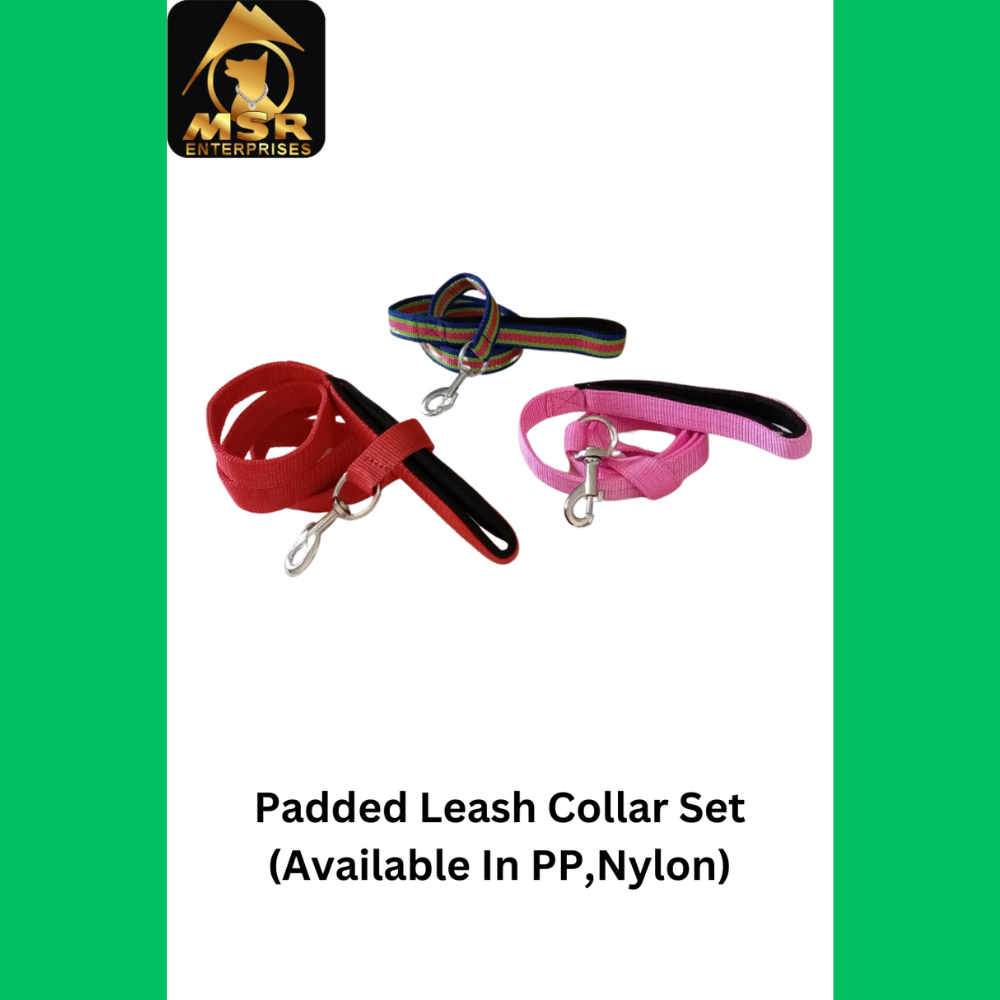 Dog Leash + Collar Padded Set