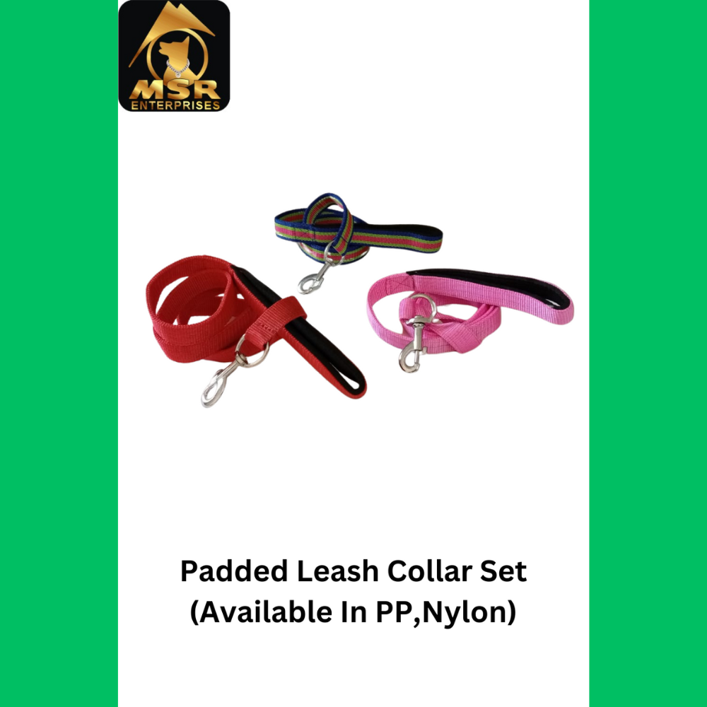 Dog Collar & Leash