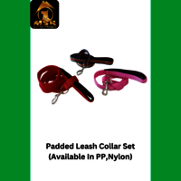 Dog Leash + Collar Padded Set