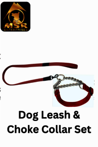 Dog Leash And Choke Collar Set