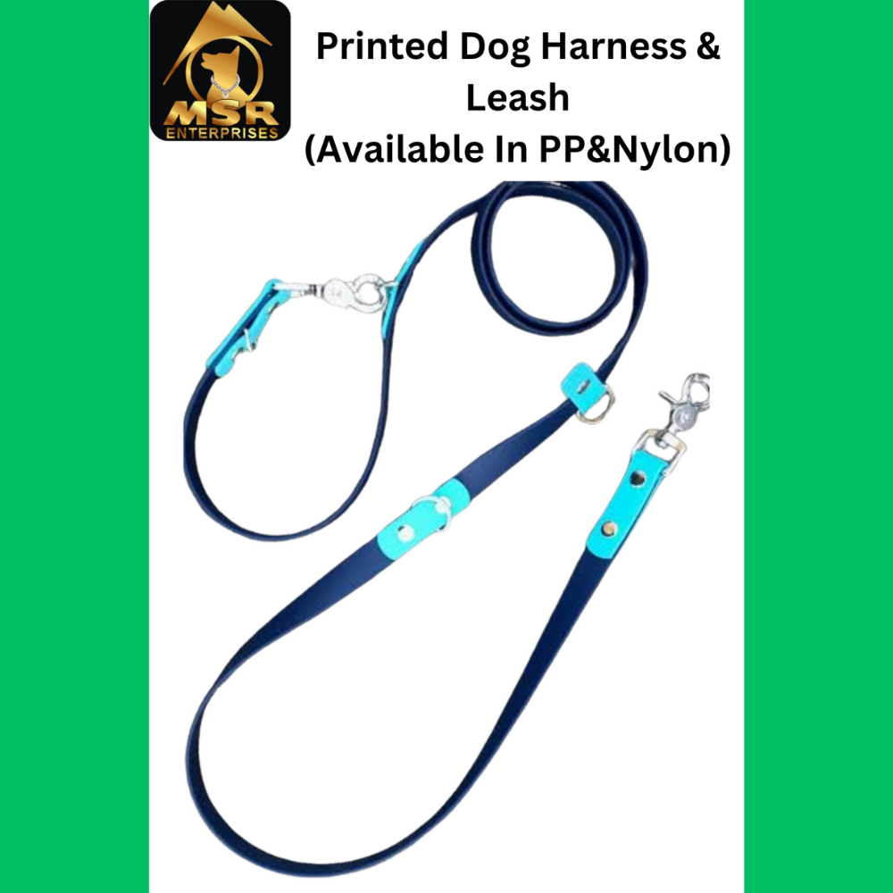 Single Printed / Double Printed Dog Harness And Leash Set