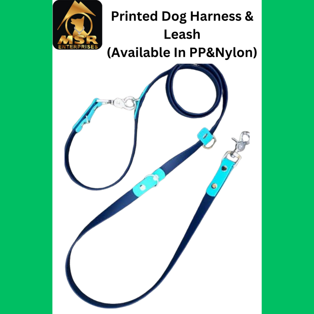 Dog Leash & Harness Bodybelt Printed