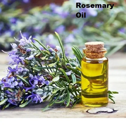 Rose Mary Essential Oil Purity: High