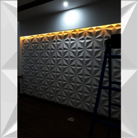 WHITE TRIANGLE PVC PANEL