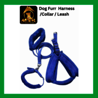 Dog Furr Leash/collar/harness Set - Pp/nylon, 1.5 Inch Size, Multi-color | Durable Leash, Ergonomic Harness, Comfortable Collar With Soft Lining
