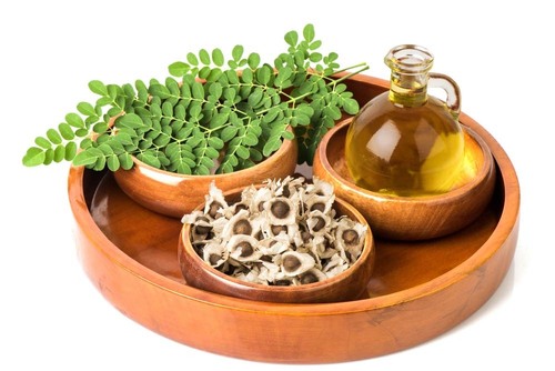 Moringa Extract