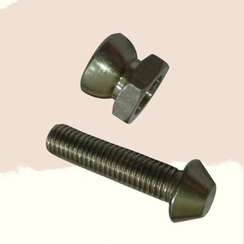 M10 SS304 Anti Theft Nut Bolt