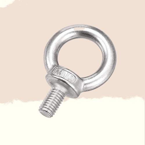 M24 SS304 Din 580 Eye Bolt