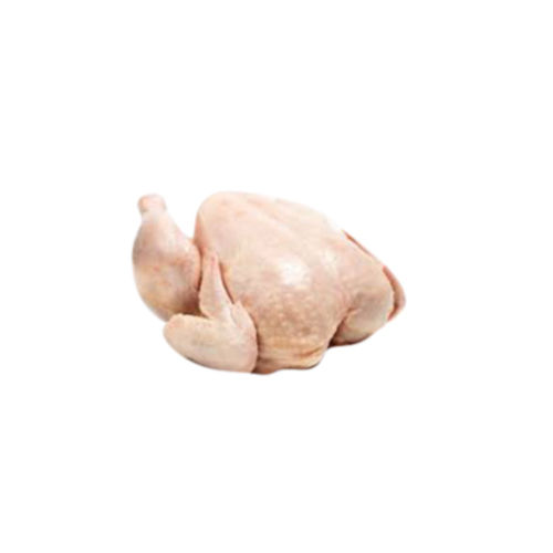 Frozen Bone Chicken Packaging: Vacuum Pack