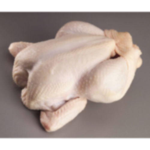 Frozen Chicken Meat