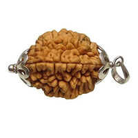 Silver Cap 2 Mukhi Rudraksha