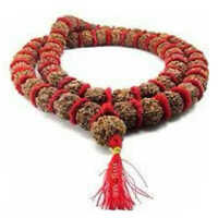 Five Mukhi Mercury Beads Mala