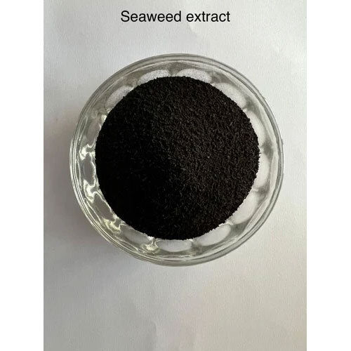 Seaweed Extract Powder