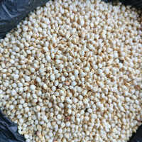 White Jowar Seeds