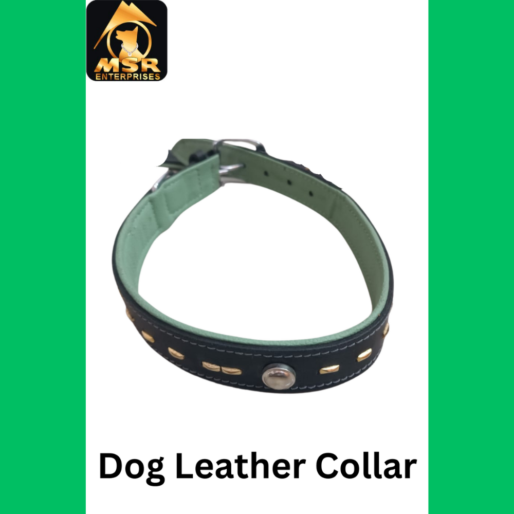 Leather Fancy Dog Collar