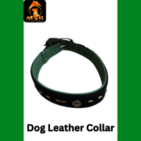 Leather Fancy Dog Collar