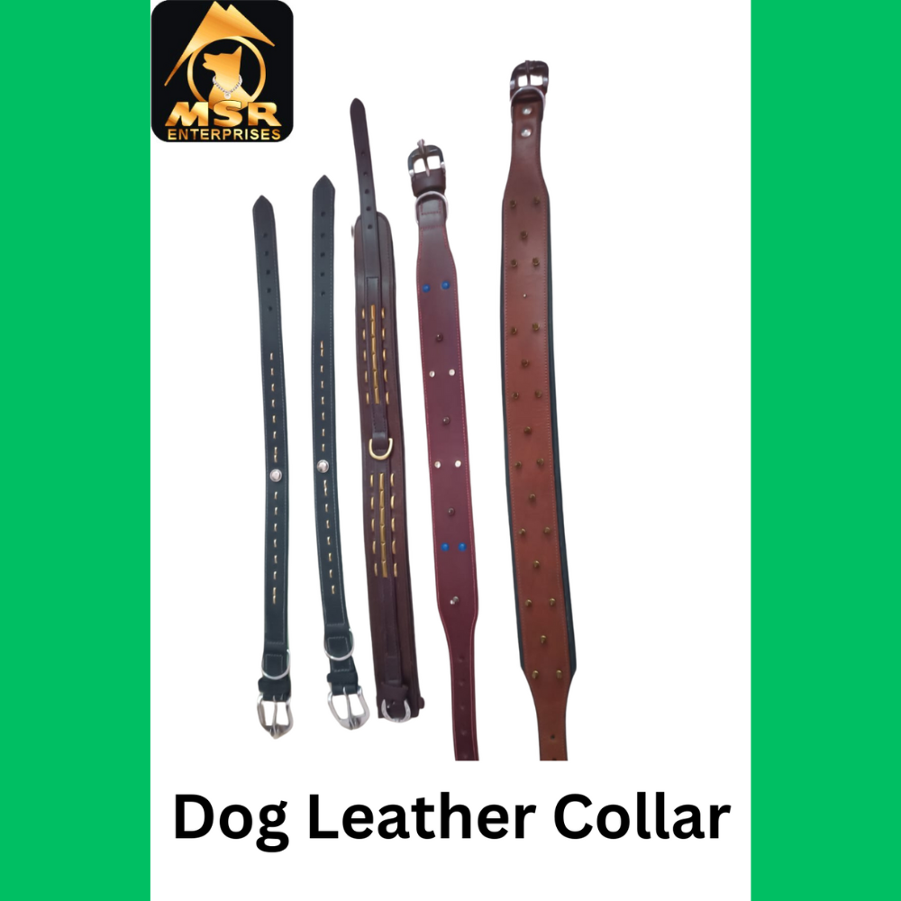 Leather Fancy Dog Collar