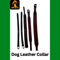 Leather Fancy Dog Collar