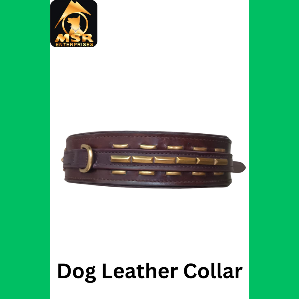 Leather Fancy Dog Collar