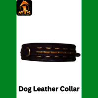 Leather Fancy Dog Collar